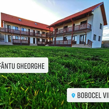Bobocel Villa Sfântu Gheorghe Eksteriør bilde